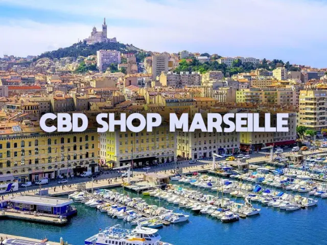 CBD à Marseille : les meilleurs shops en ligne et en boutique