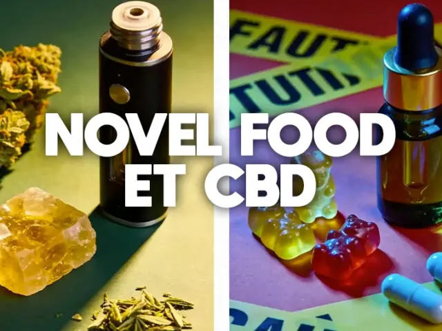 Novel Food et CBD : ce qui change dès mai 2026 en France (DGAL)