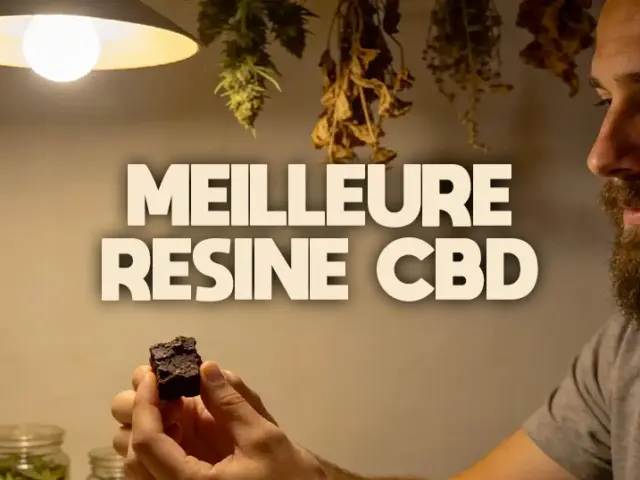 Meilleure résine CBD 2026 : comparatif et guide d&rsquo;achat