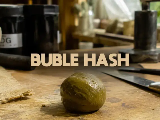 Bubble hash CBD : extraction, microns et full melt