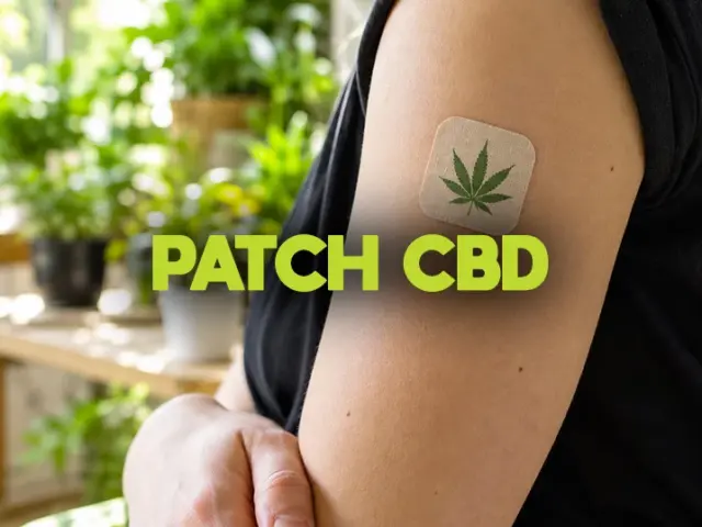 Patch CBD : ça marche ? Est-ce légal en 2026 ?