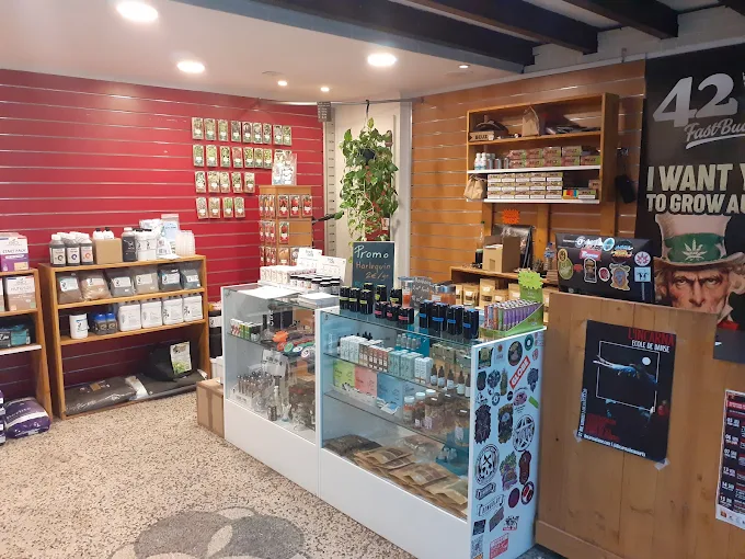 Seeds Experience CBD shop Montpellier rue de l'Aiguillerie