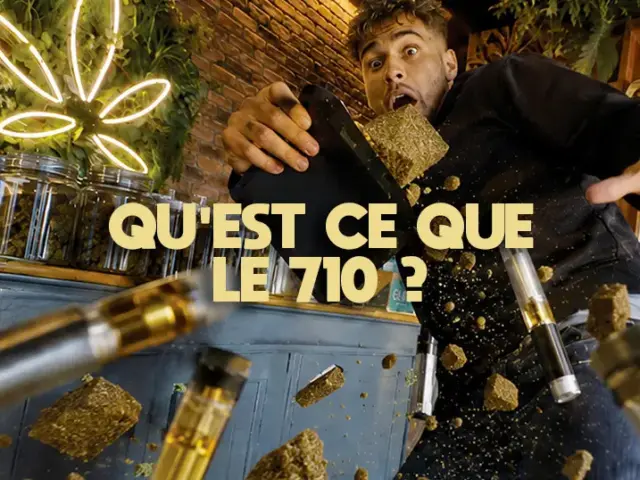 710 cannabis : signification, origine et lien avec le CBD