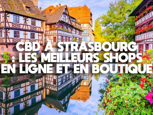 CBD à Strasbourg : le top 7 des meilleurs shops en 2026