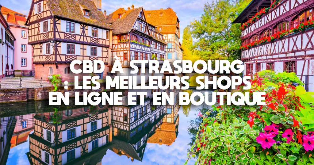 Maisons à colombages de la Petite France à Strasbourg au bord de l'Ill, ciel dégagé