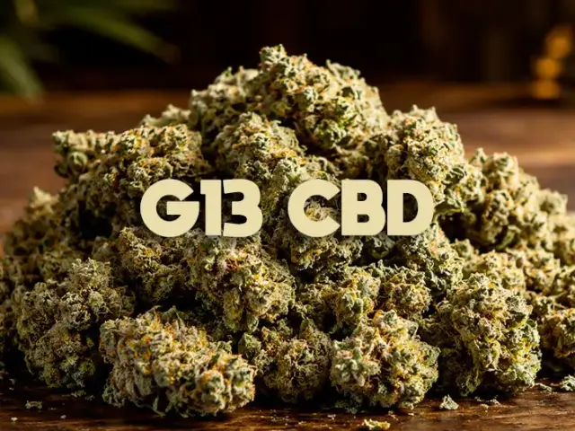 G13 CBD : le guide complet (légende, profil, effets)