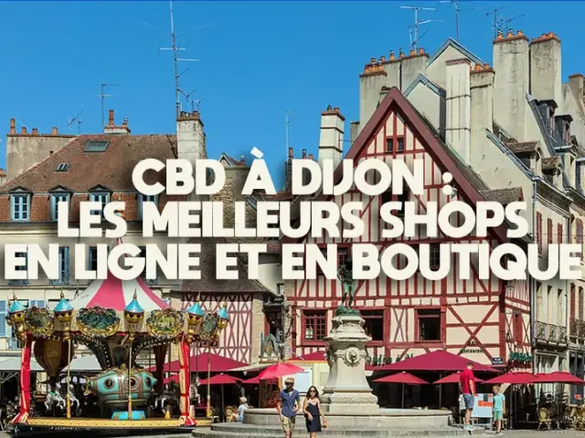 CBD à Dijon : le top 7 des meilleurs shops en 2026
