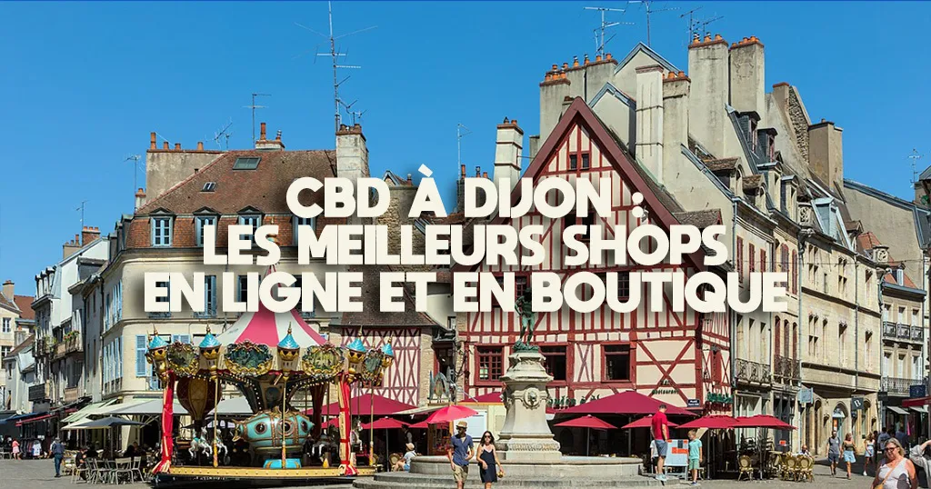 Place François-Rude à Dijon avec le manège, les maisons à colombages et les terrasses de café