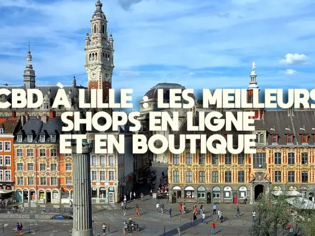 CBD à Lille : le top 7 des meilleurs shops en 2026