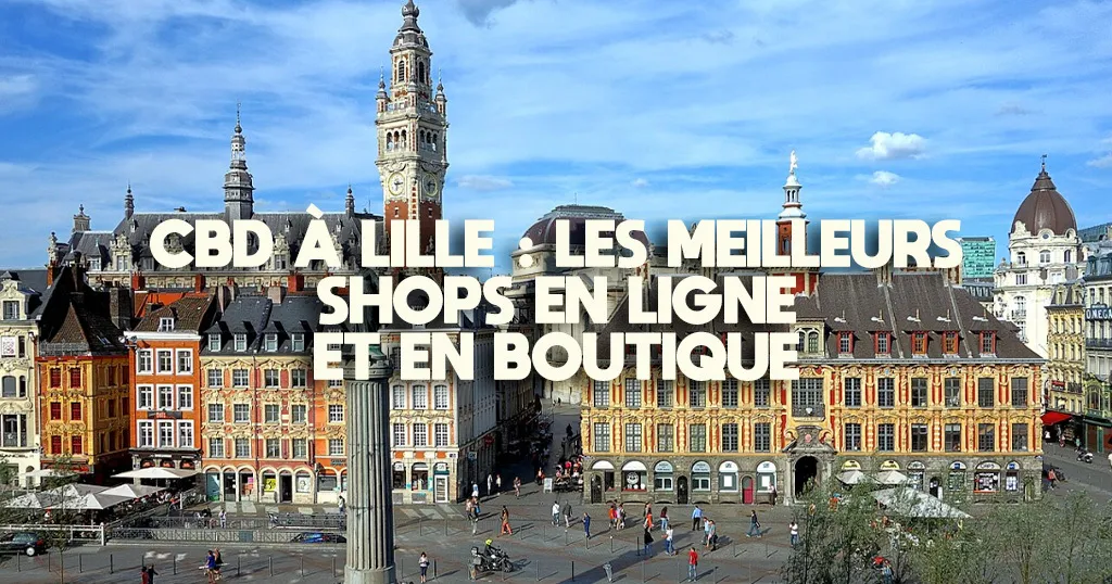 Grand-Place de Lille avec la Vieille Bourse et les façades flamandes, ciel dégagé