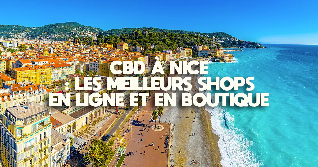 Vue de la Promenade des Anglais et des toits du Vieux-Nice depuis la colline du Château