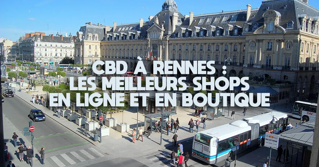 Place Sainte-Anne à Rennes avec ses maisons à pans de bois et ses terrasses
