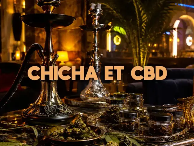 Chicha sans tabac : ce que vous inhalez vraiment (et le CO)