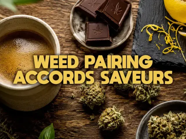 Weed pairing : 77 accords entre fleurs de CBD et saveurs