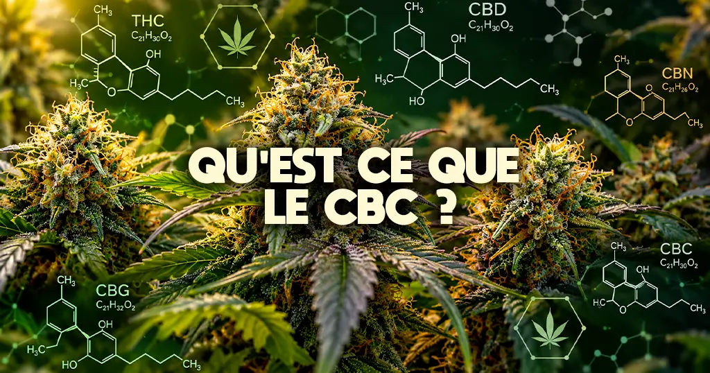 CBC-definition