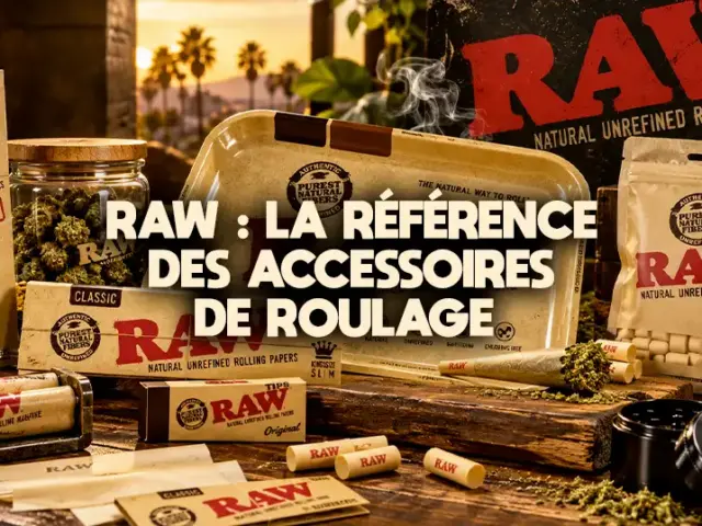 RAW : le guide complet