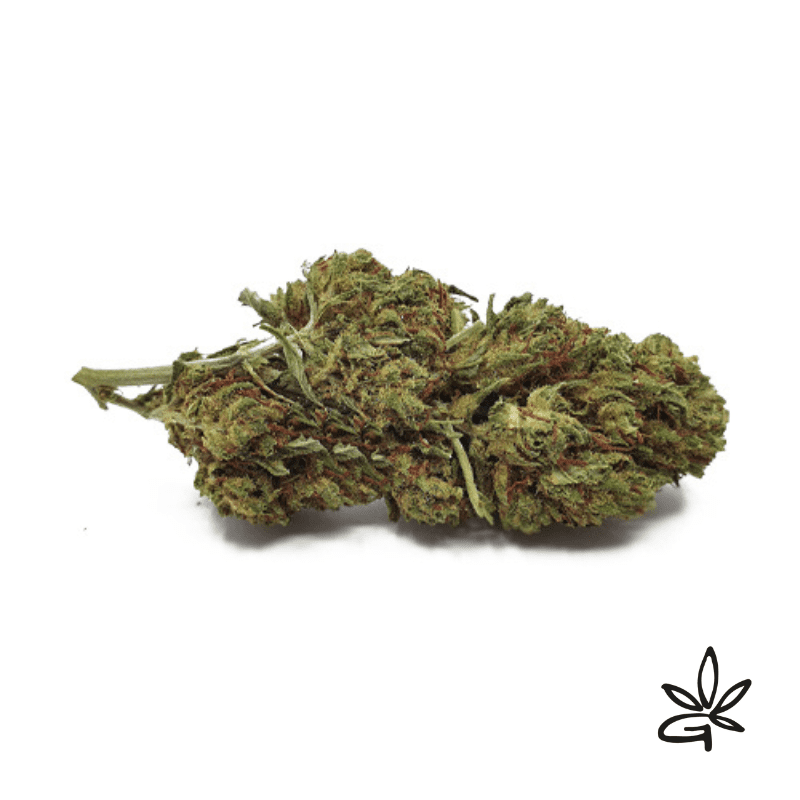 Mango Kush pas cher