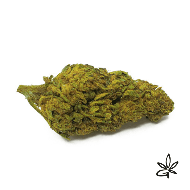 La CBD Gelato que vous trouverez chez Gardenz