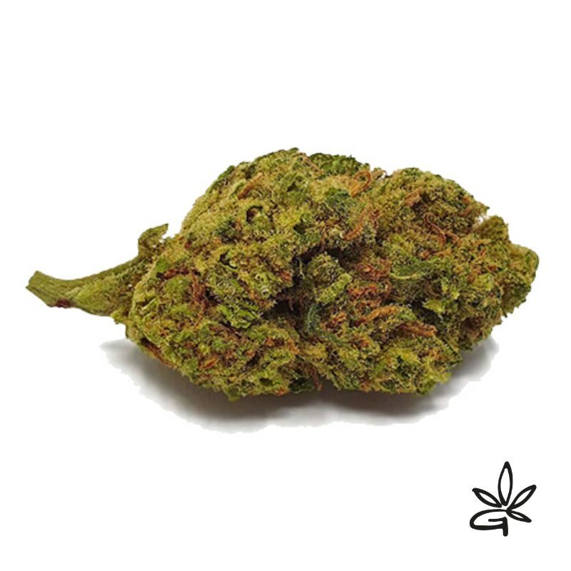 Gardenz Kush - Fleur CBD puissante à fumer