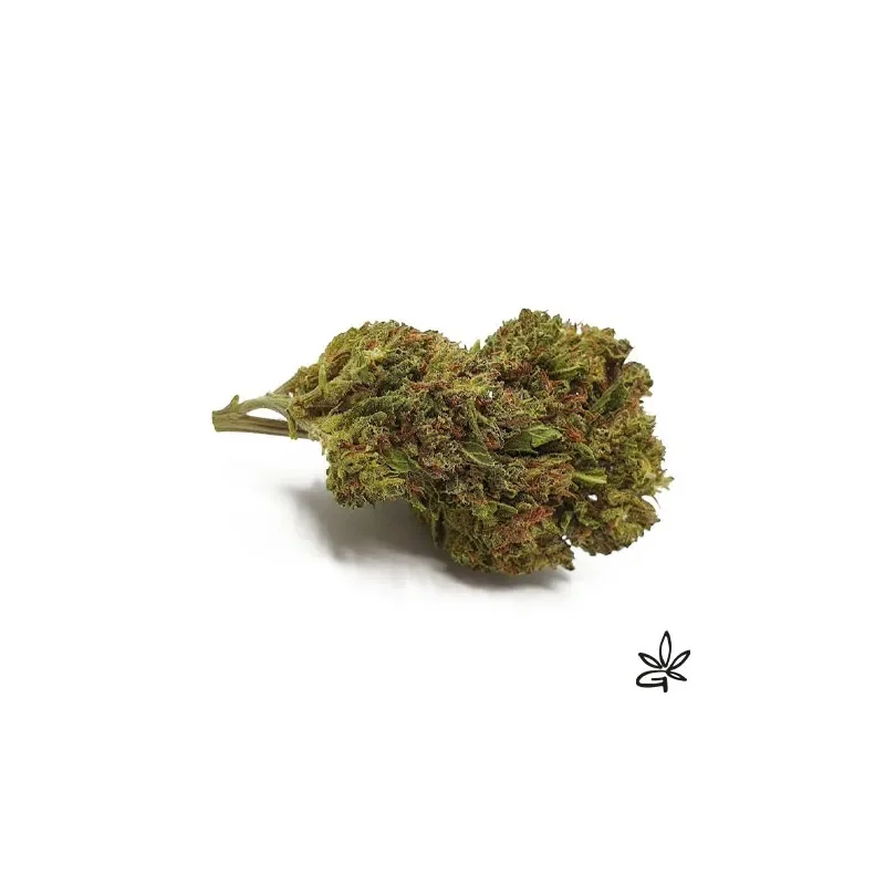 Pina colada cbd - fleurs de cbd