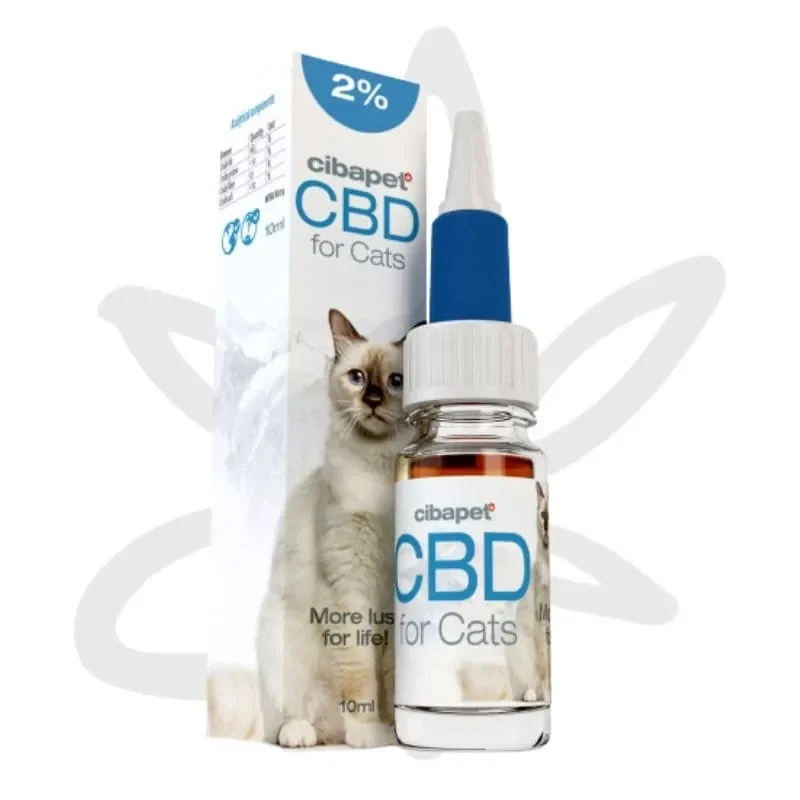 huile de CBD chat