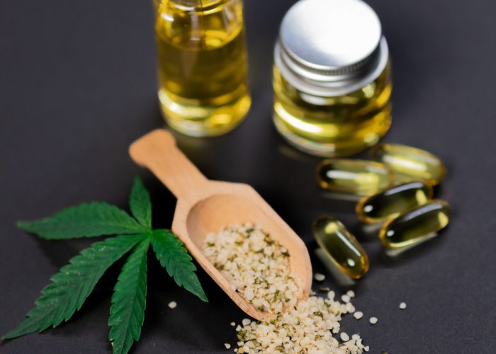 CBD chien: les produits à utiliser