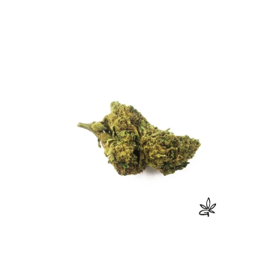 tropical punch fleur de cbd la plus forte