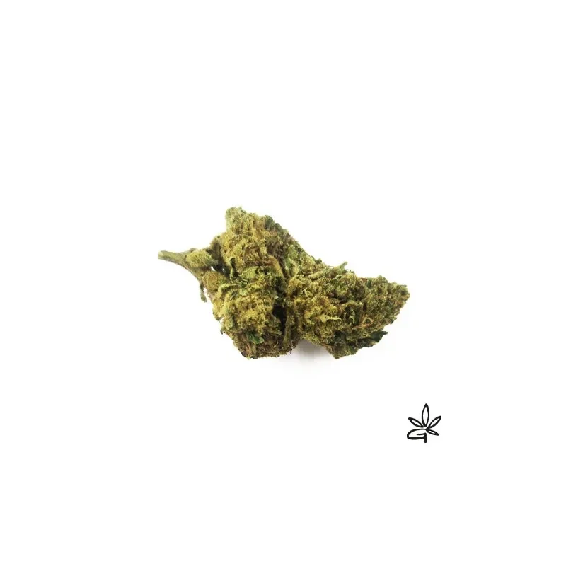 tropical punch cbd - Fleurs de cbd
